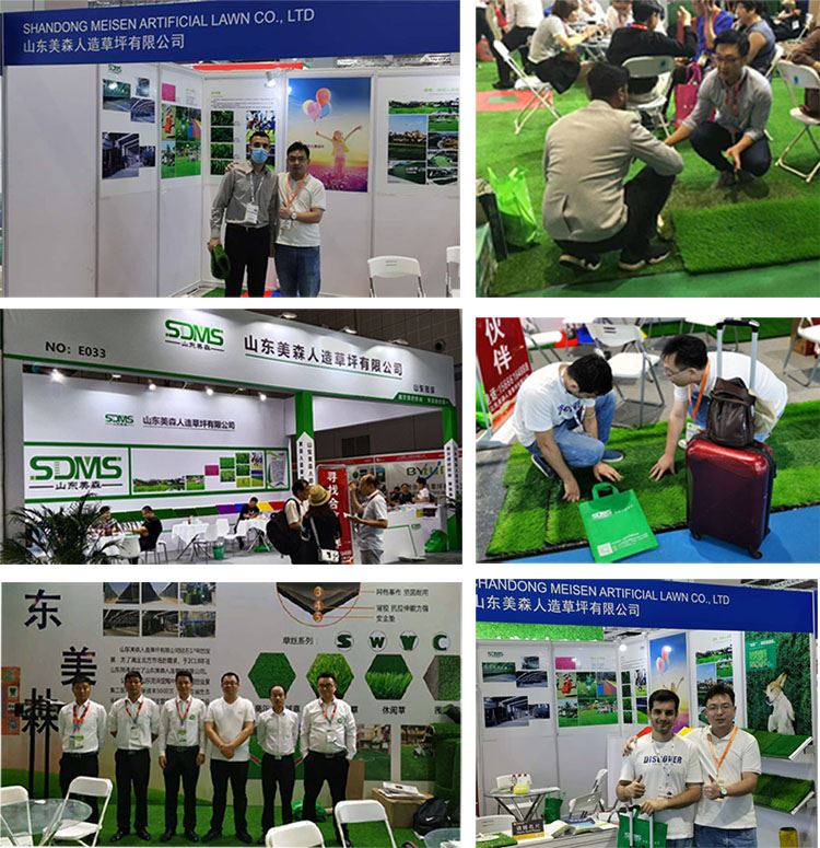 SDMS  exhibition